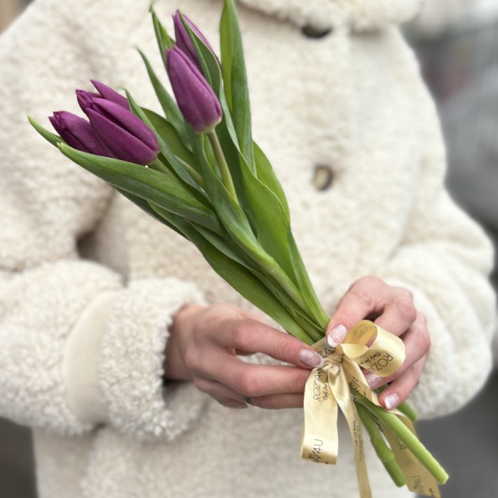 5 фиолетовых тюльпанов