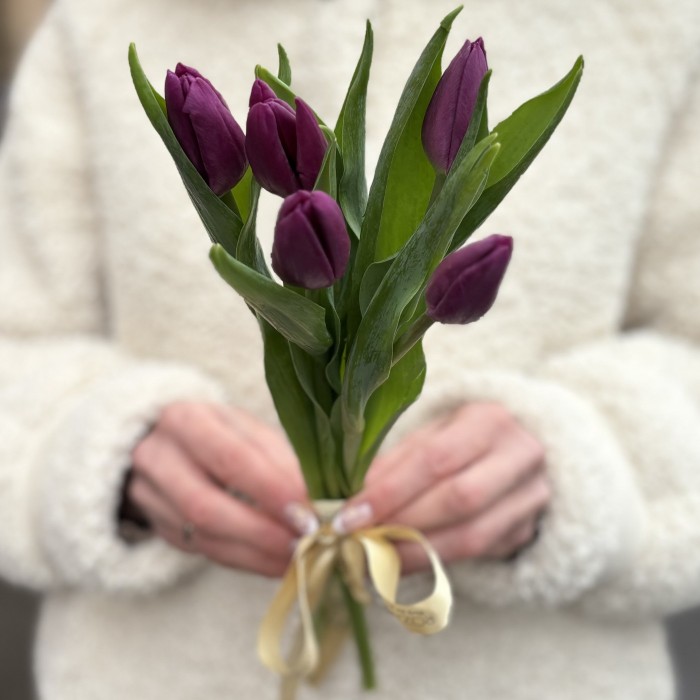 5 фиолетовых тюльпанов