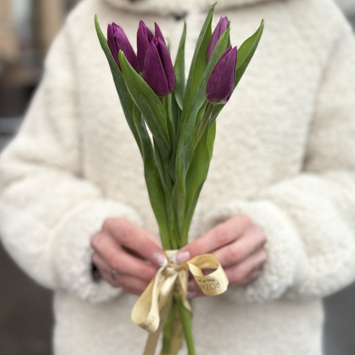 5 фиолетовых тюльпанов