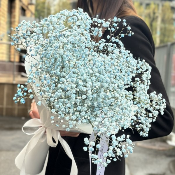 5 голубых гипсофил в упаковке