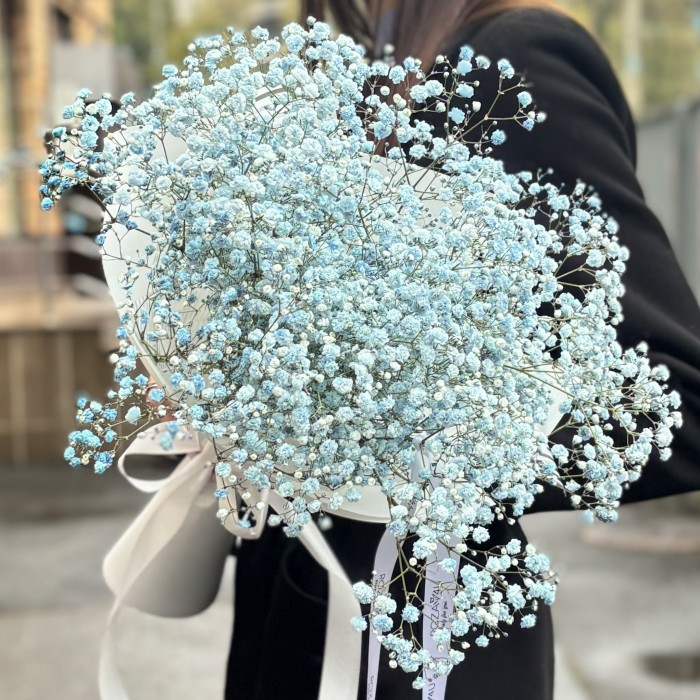 5 голубых гипсофил в упаковке