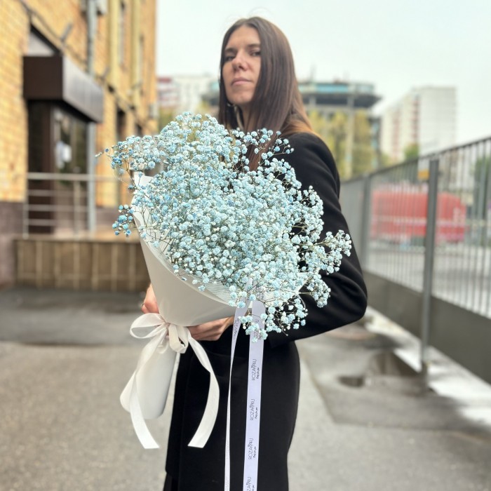 5 голубых гипсофил в упаковке