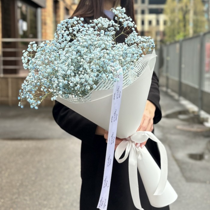 5 голубых гипсофил в упаковке