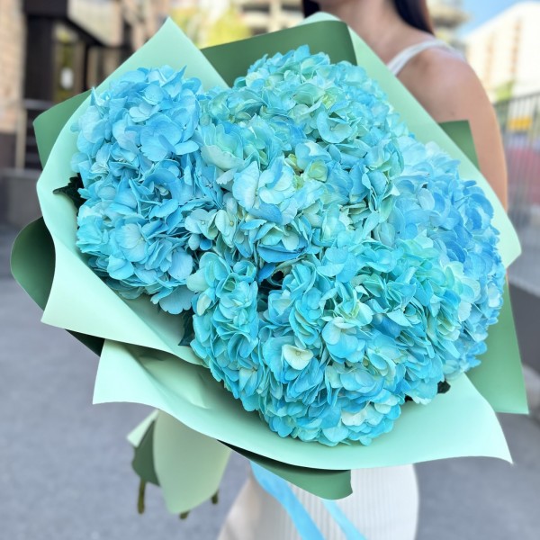 5 голубых гортензий