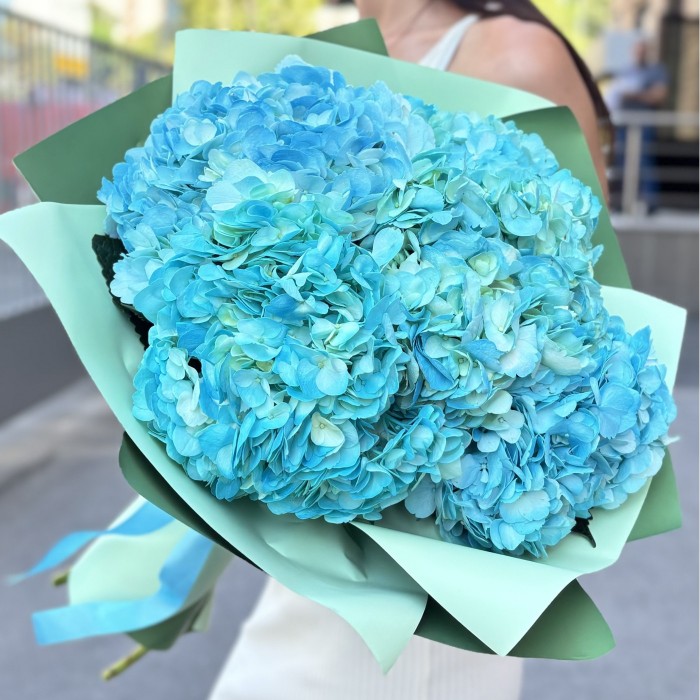 5 голубых гортензий