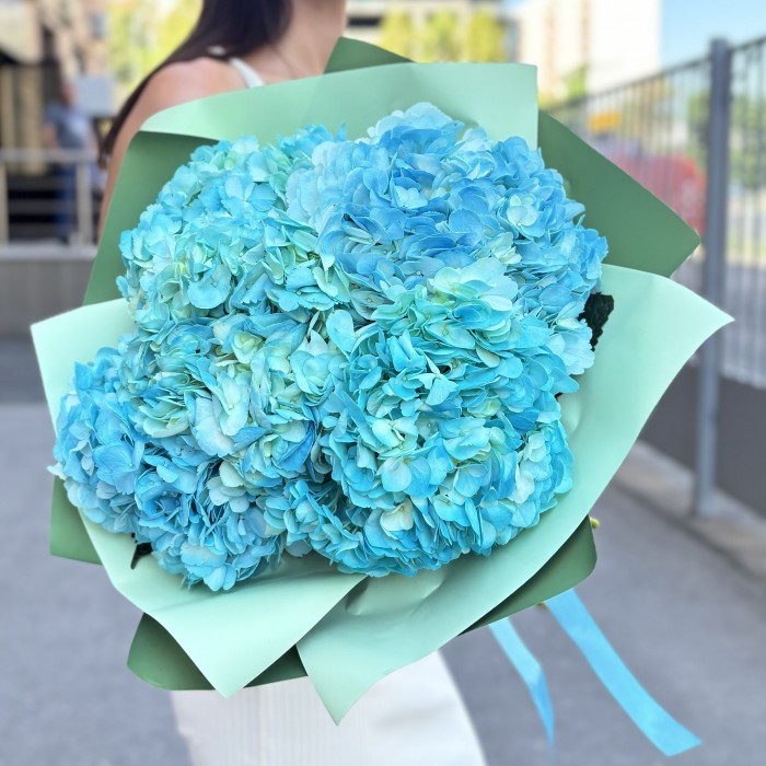 5 голубых гортензий