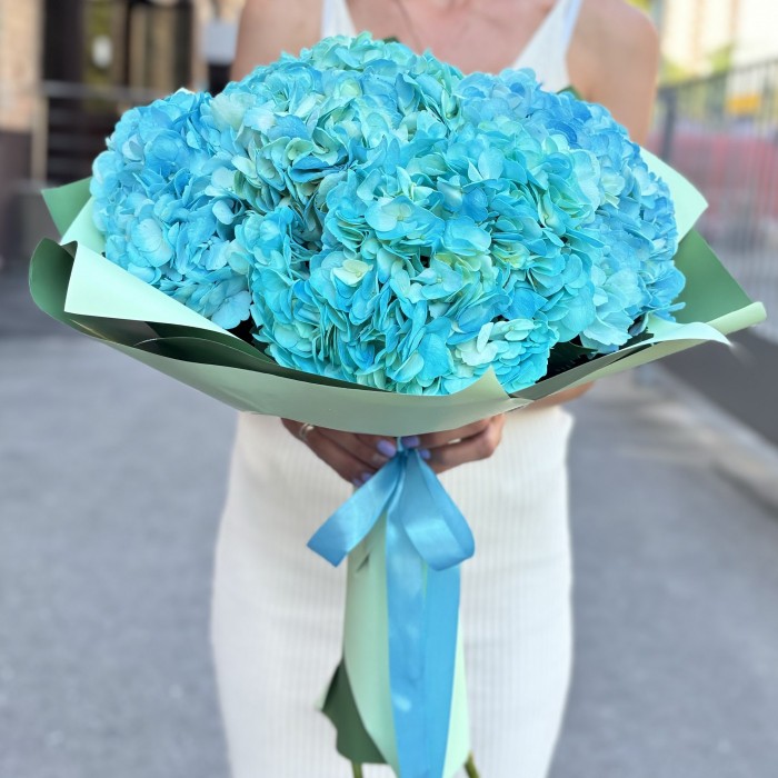 5 голубых гортензий