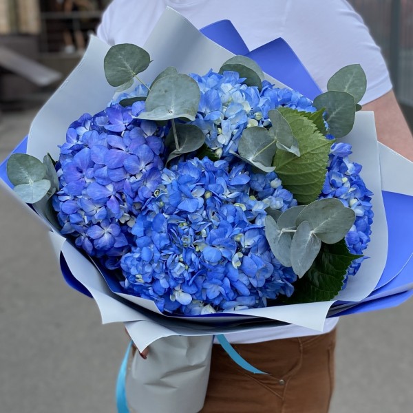 5 гортензий Блю Шокинг с эвкалиптом