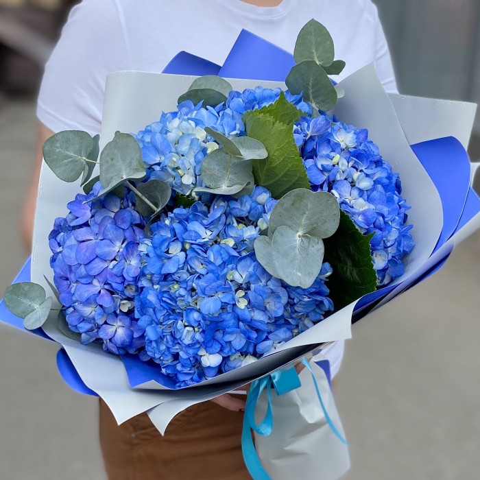 5 гортензий Блю Шокинг с эвкалиптом