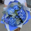 5 гортензий Блю Шокинг с эвкалиптом
