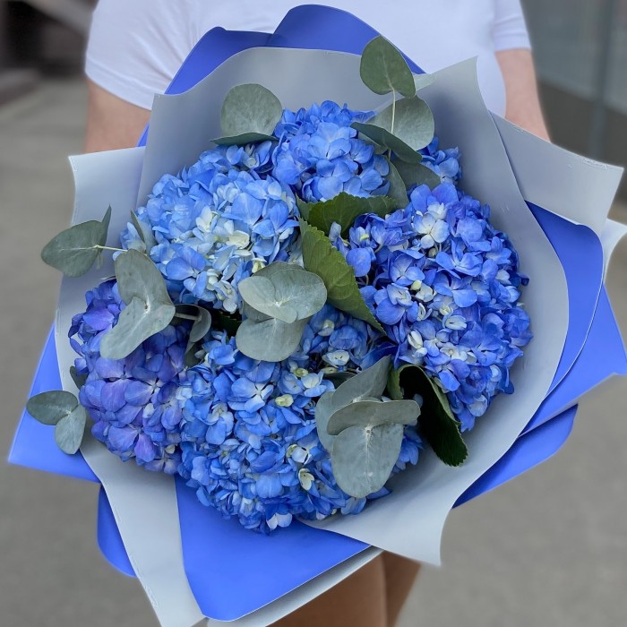 5 гортензий Блю Шокинг с эвкалиптом