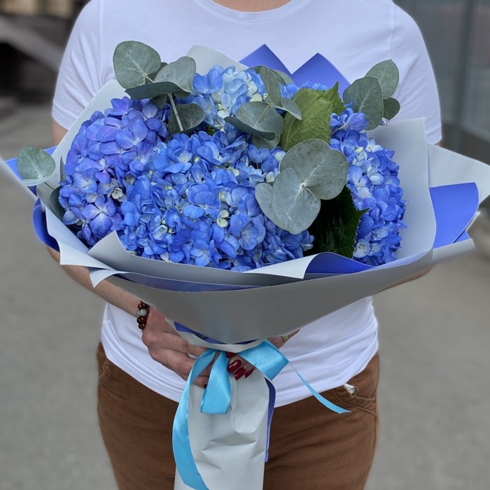 5 гортензий Блю Шокинг с эвкалиптом