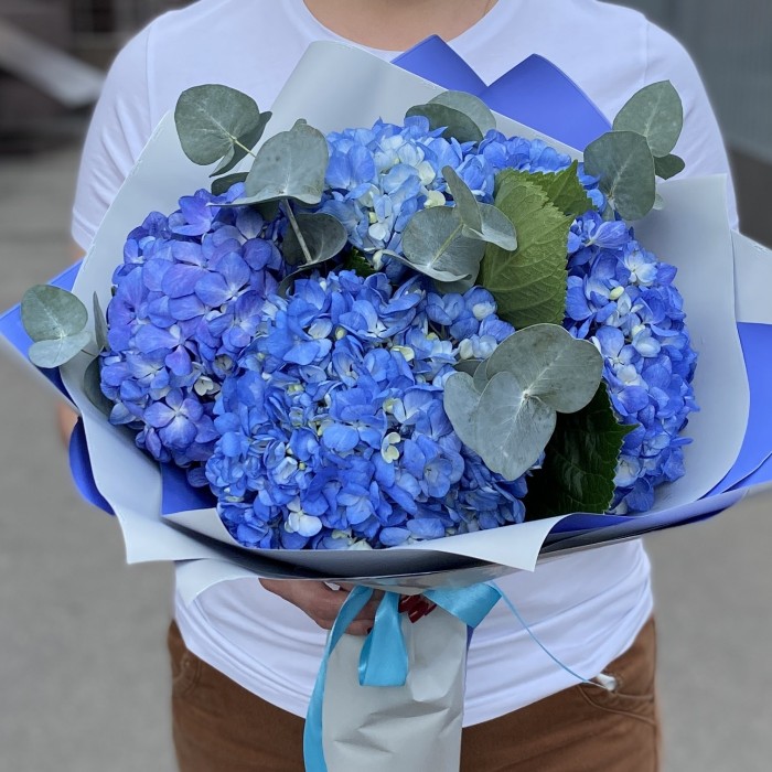 5 гортензий Блю Шокинг с эвкалиптом