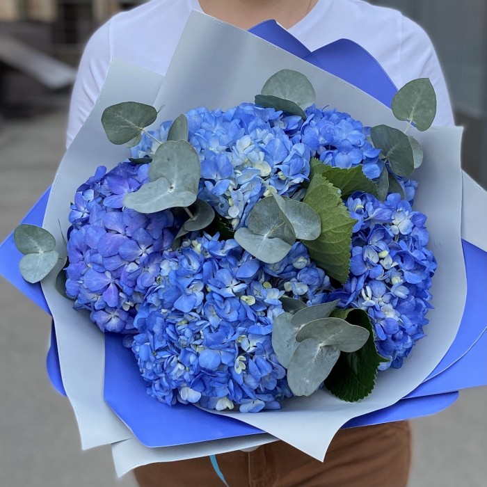 5 гортензий Блю Шокинг с эвкалиптом