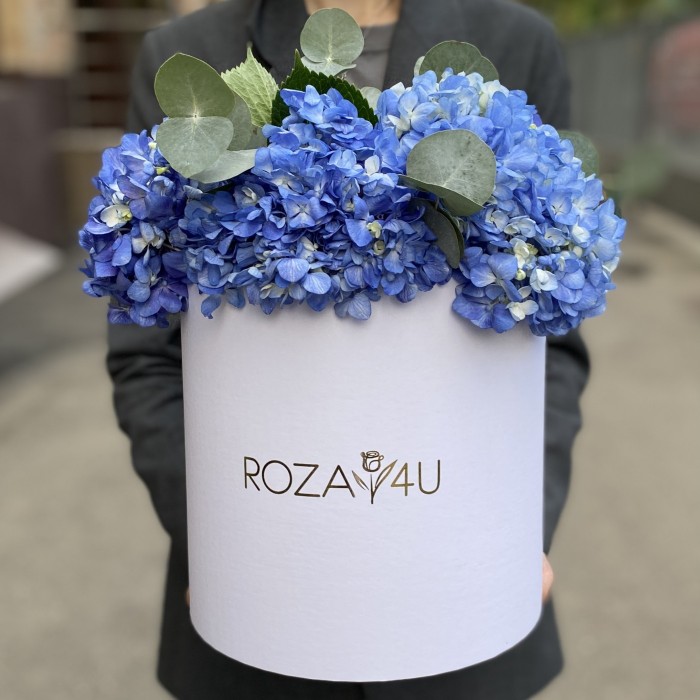 5 синих гортензий Блю Шокинг с эвкалиптом в коробке