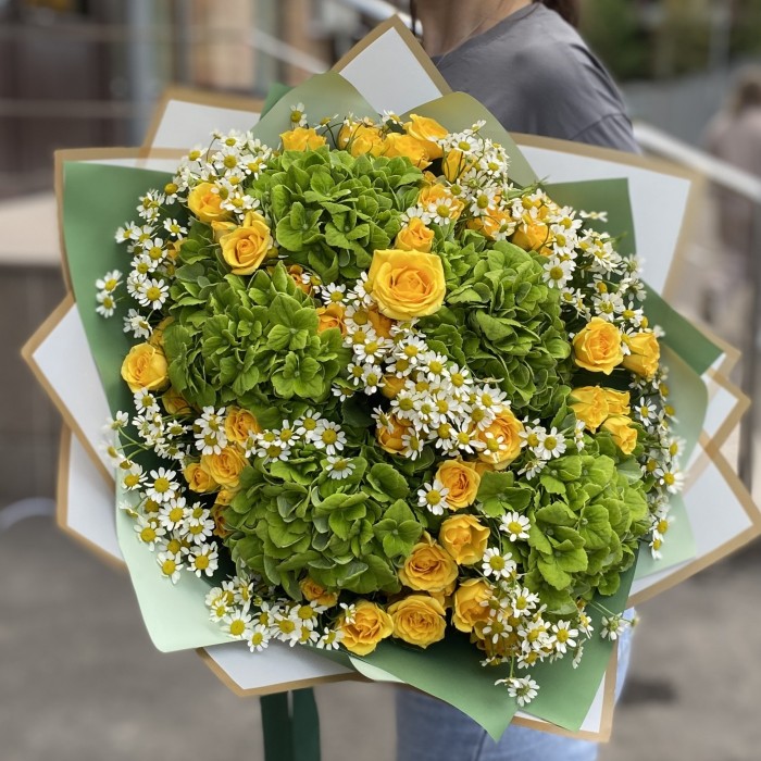 5 гортензий Дарк Грин с кустовой розой