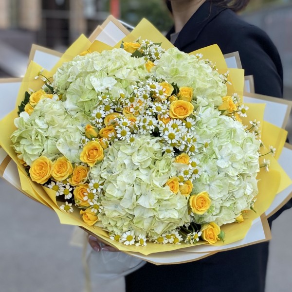 5 гортензий Лайм Грин с кустовой розой