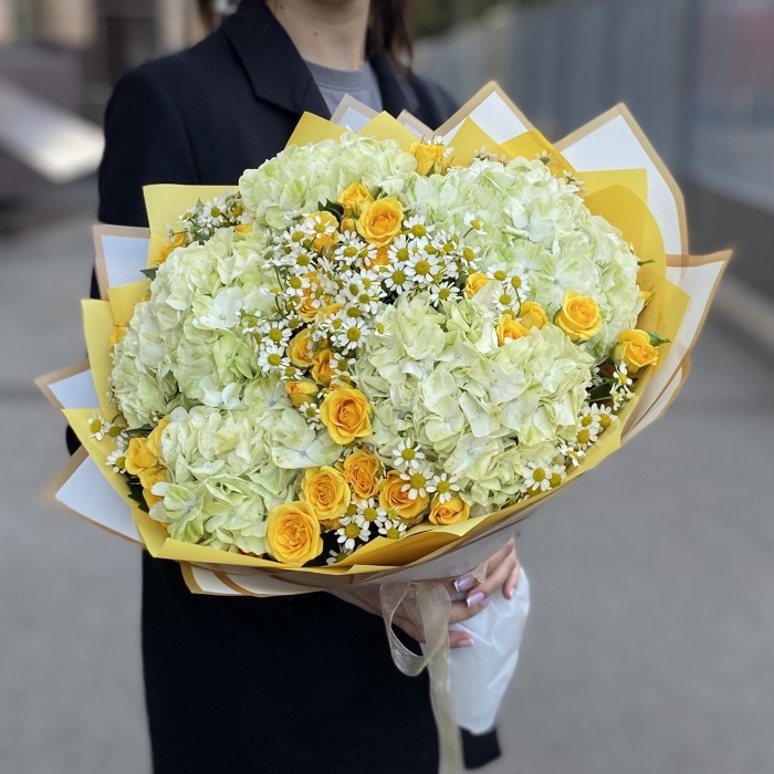 5 гортензий Лайм Грин с кустовой розой