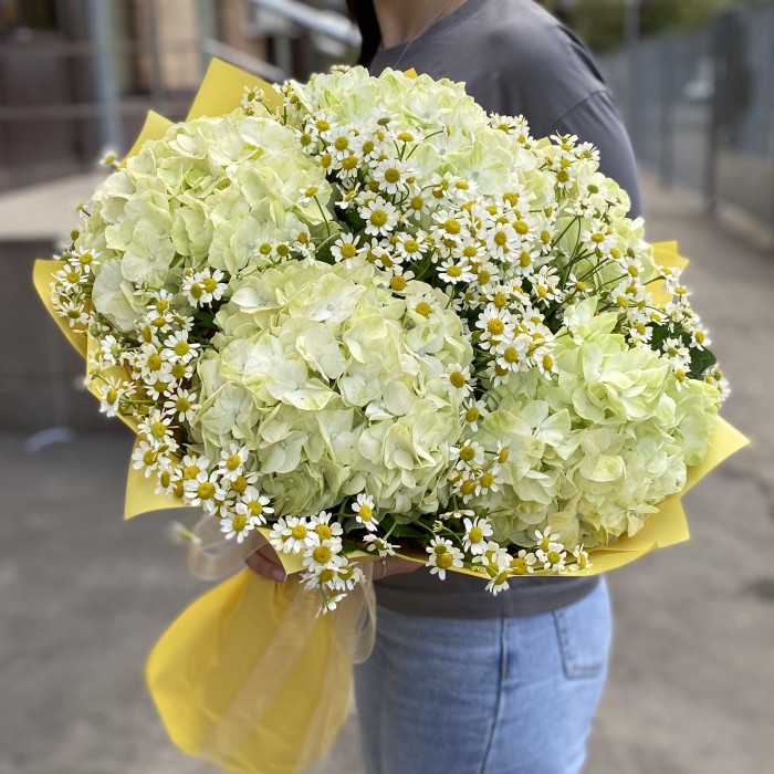 5 гортензий Лайм Грин с ромашкой