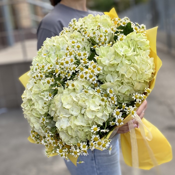5 гортензий Лайм Грин с ромашкой