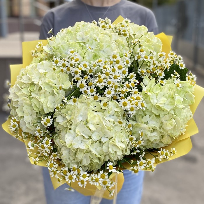 5 гортензий Лайм Грин с ромашкой