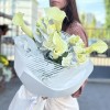 5 калл Шампань с эустомой