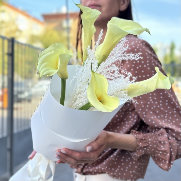 5 калл Шампань с сухоцветами