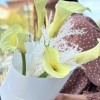5 калл Шампань с сухоцветами