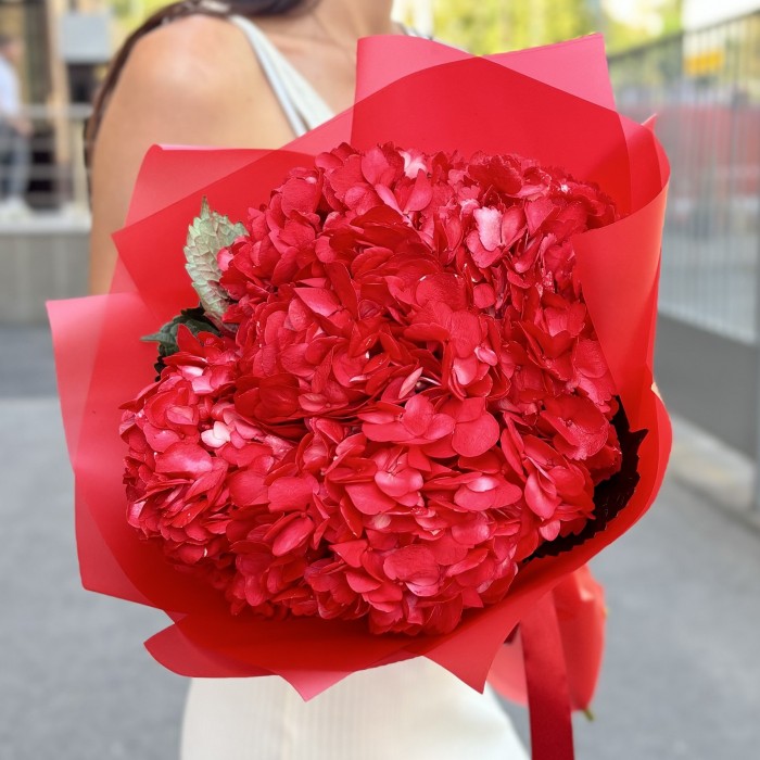 5 красных гортензий
