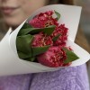5 махровых красных тюльпанов Ля мур