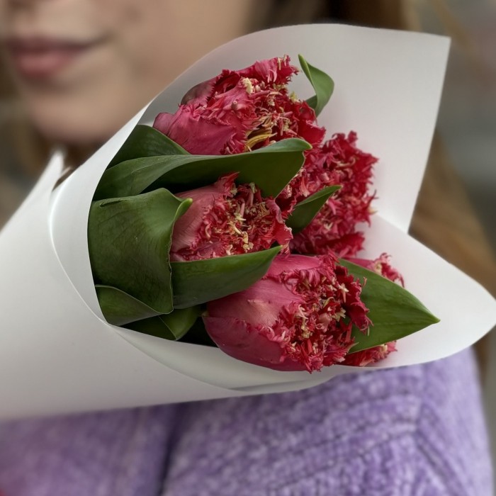 5 махровых красных тюльпанов Ля мур