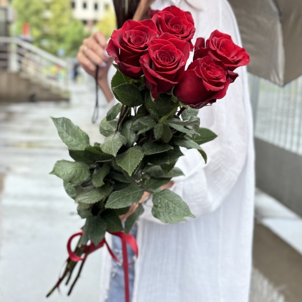 5 красных роз Эксплорер 80 см