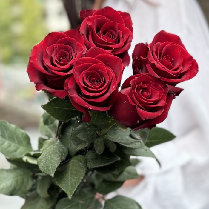 5 красных роз Эксплорер 80 см