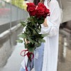 5 красных роз Эксплорер 80 см