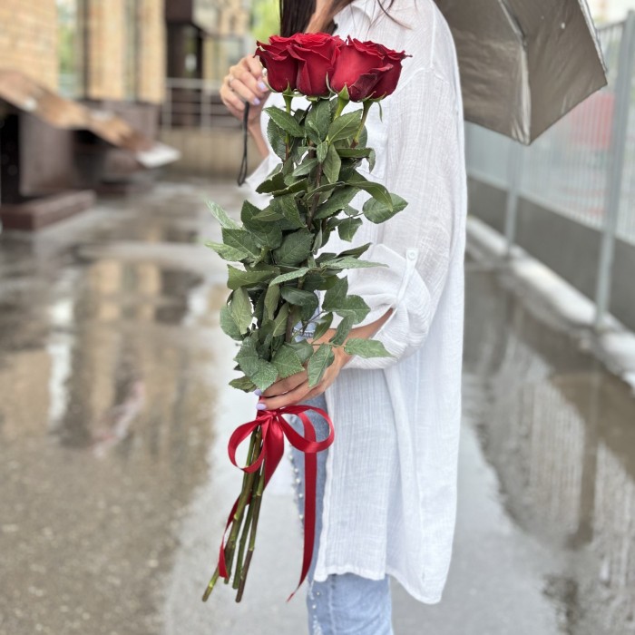 5 красных роз Эксплорер 80 см