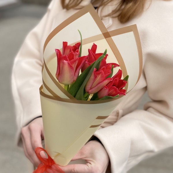 5 красных тюльпанов Ред Дресс в упаковке