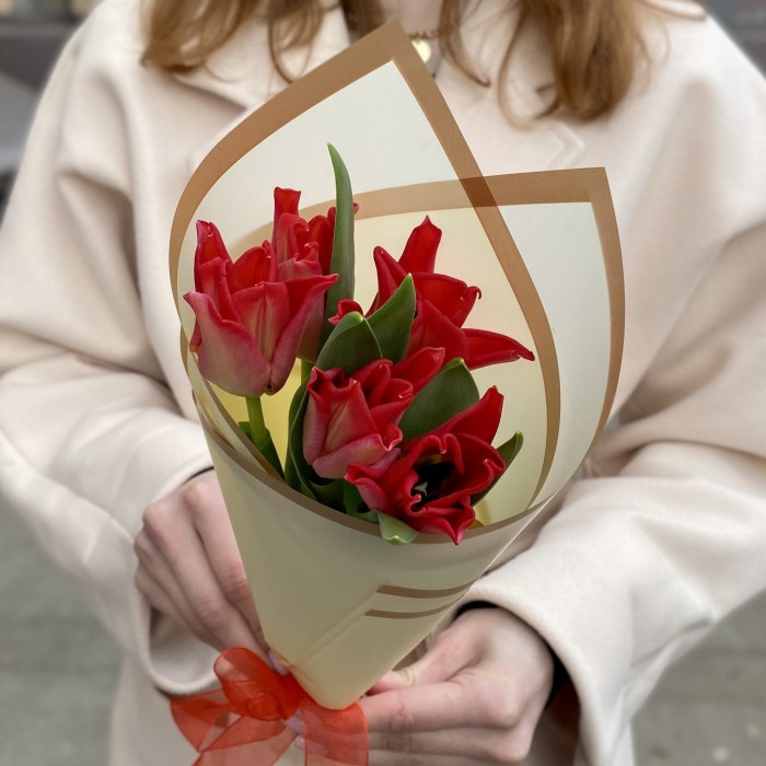 5 красных тюльпанов Ред Дресс в упаковке