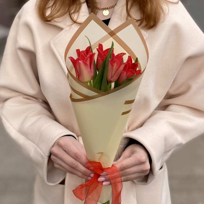 5 красных тюльпанов Ред Дресс в упаковке