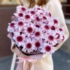 5 кустовых хризантем Стреза