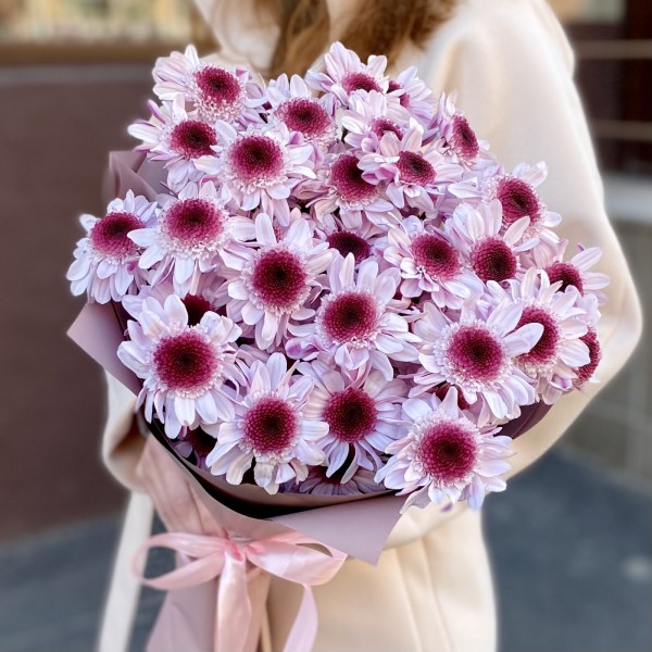 5 кустовых хризантем Стреза