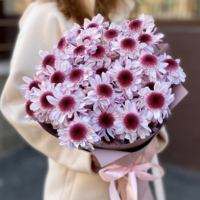 5 кустовых хризантем Стреза