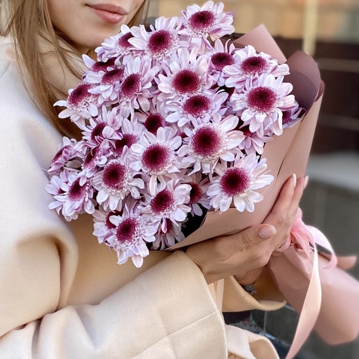 5 кустовых хризантем Стреза