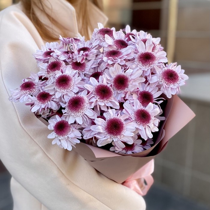 5 кустовых хризантем Стреза