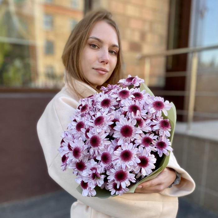 5 кустовых хризантем Стреза