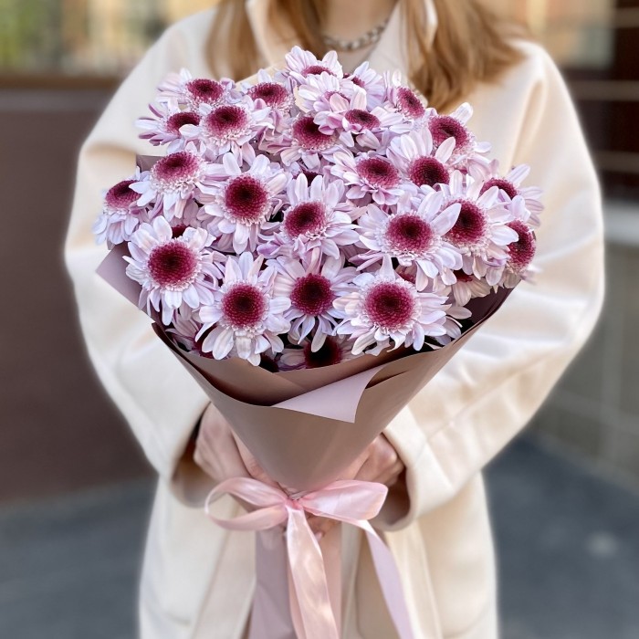 5 кустовых хризантем Стреза