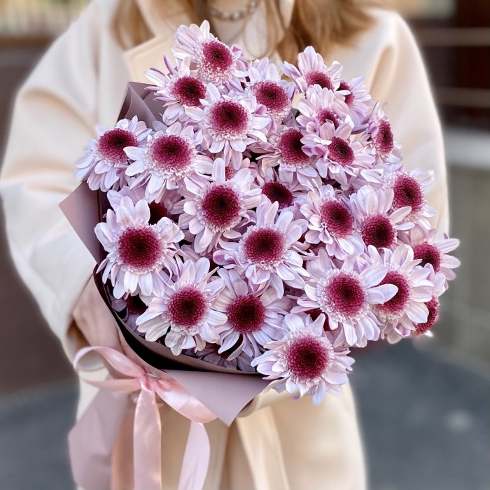 5 кустовых хризантем Стреза