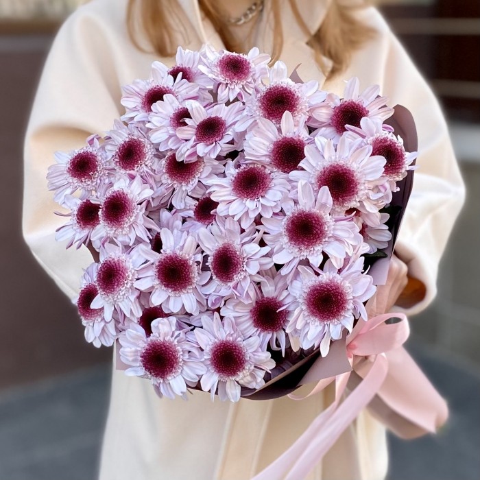 5 кустовых хризантем Стреза