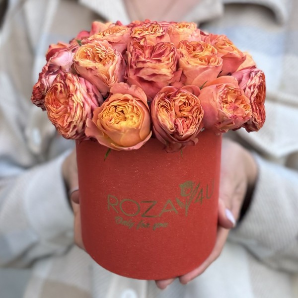 5 кустовых пионовидных оранжевых роз Ля Мандарин в коробке