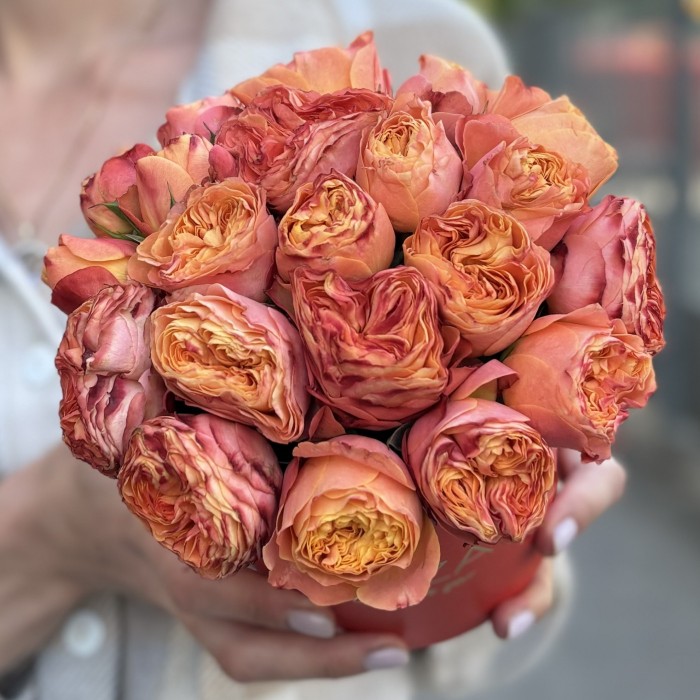 5 кустовых пионовидных оранжевых роз Ля Мандарин в коробке