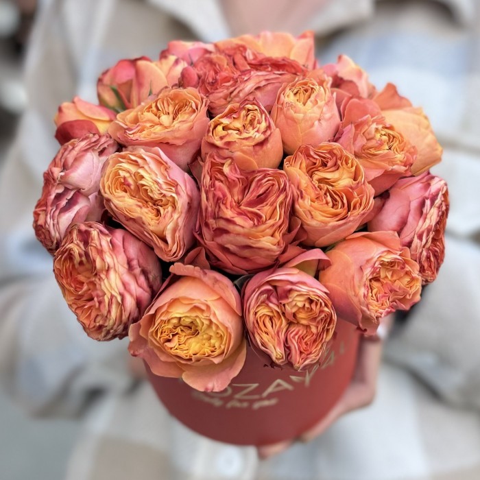 5 кустовых пионовидных оранжевых роз Ля Мандарин в коробке